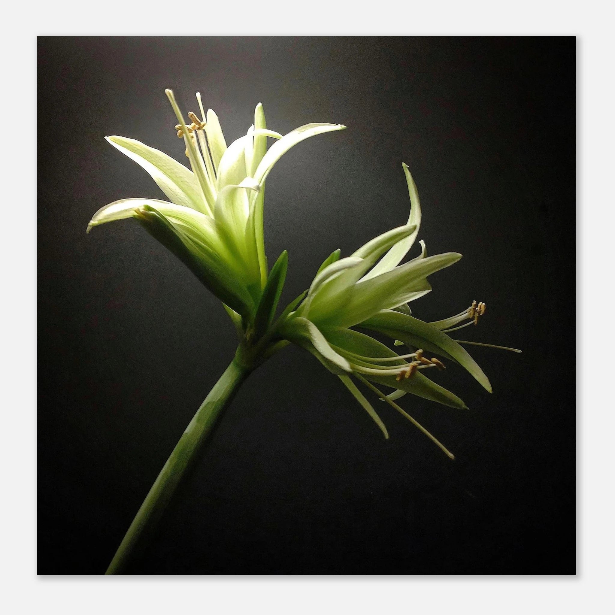 5f322185-b15b-4119-a222-44ec06284f67