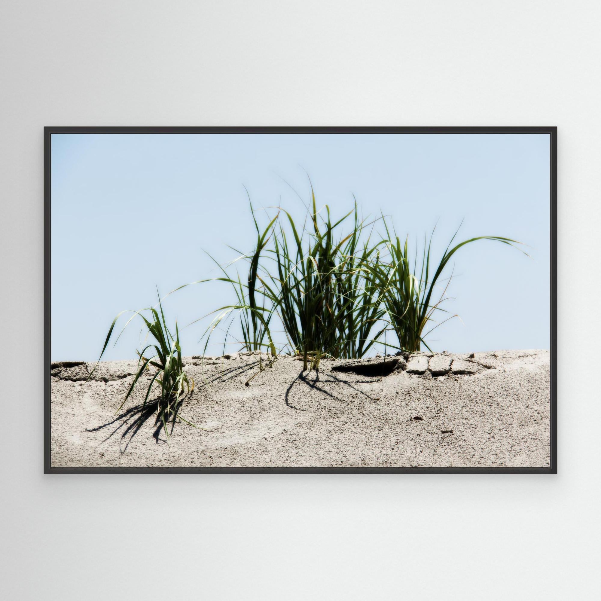 Jersey Shores USA 02