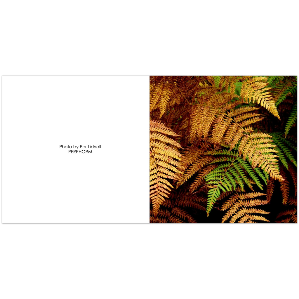 6024033f-8790-4496-8fdc-53d2b7ec22ac