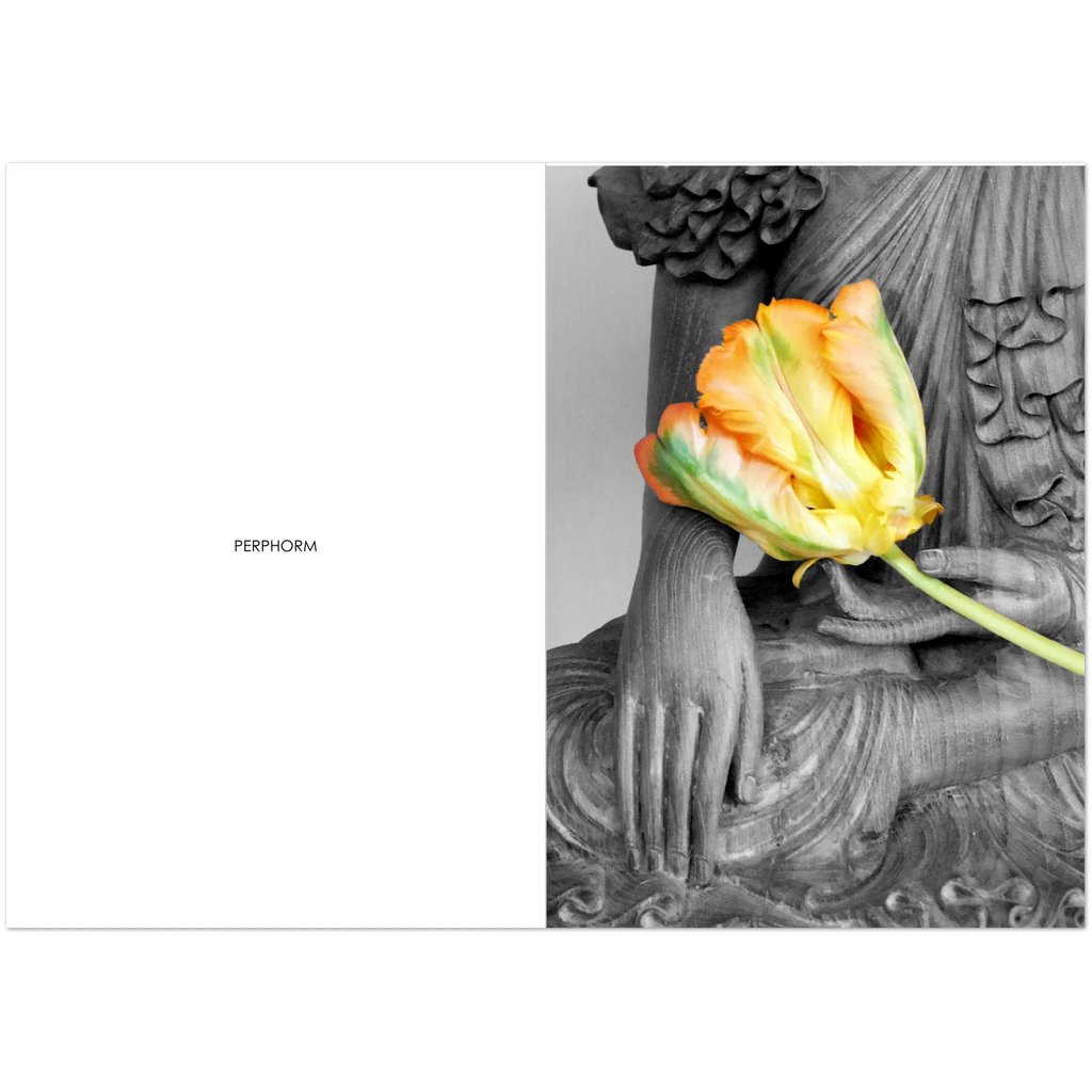 6221322f-5afa-4216-b95c-ea2fa08fd3b3