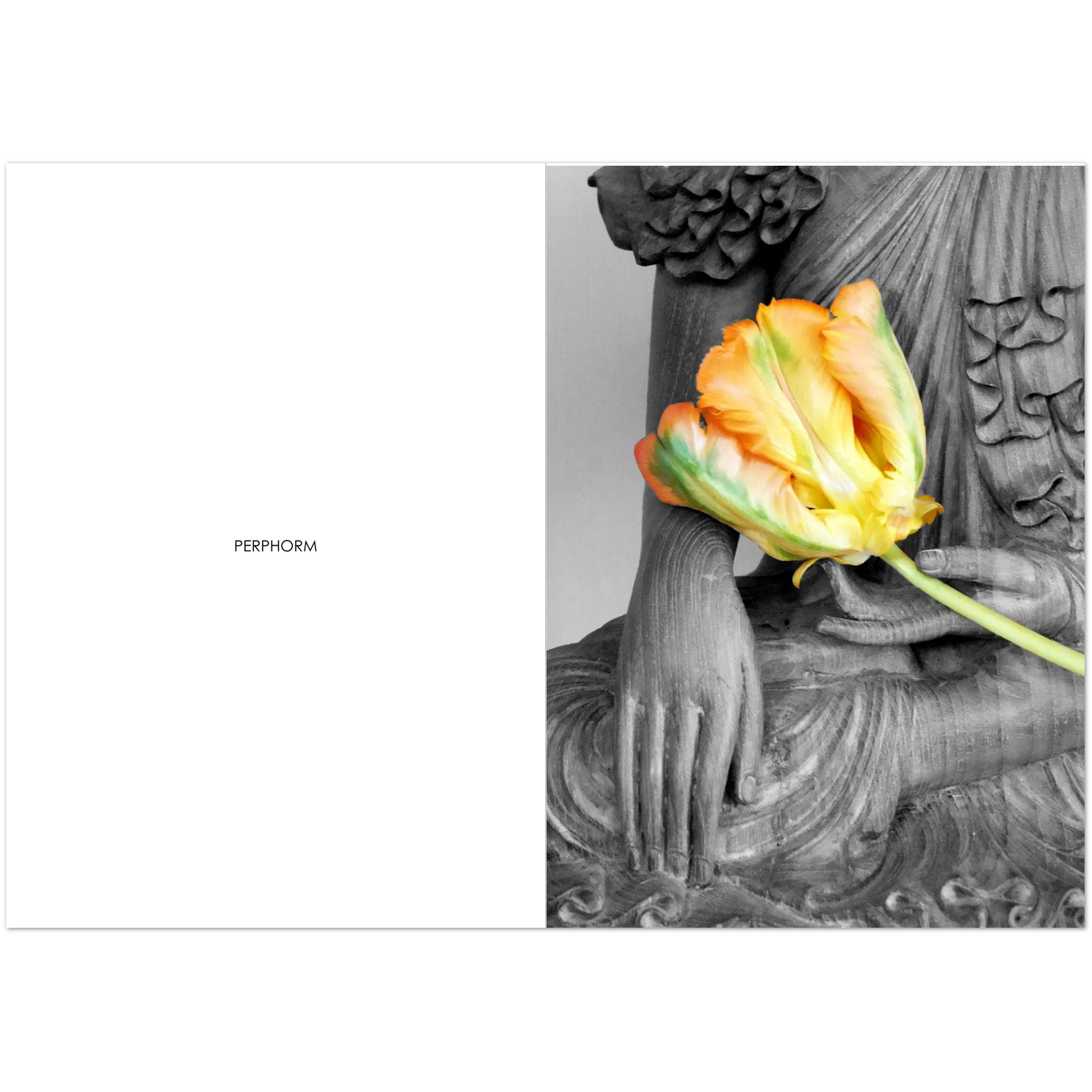 6221322f-5afa-4216-b95c-ea2fa08fd3b3