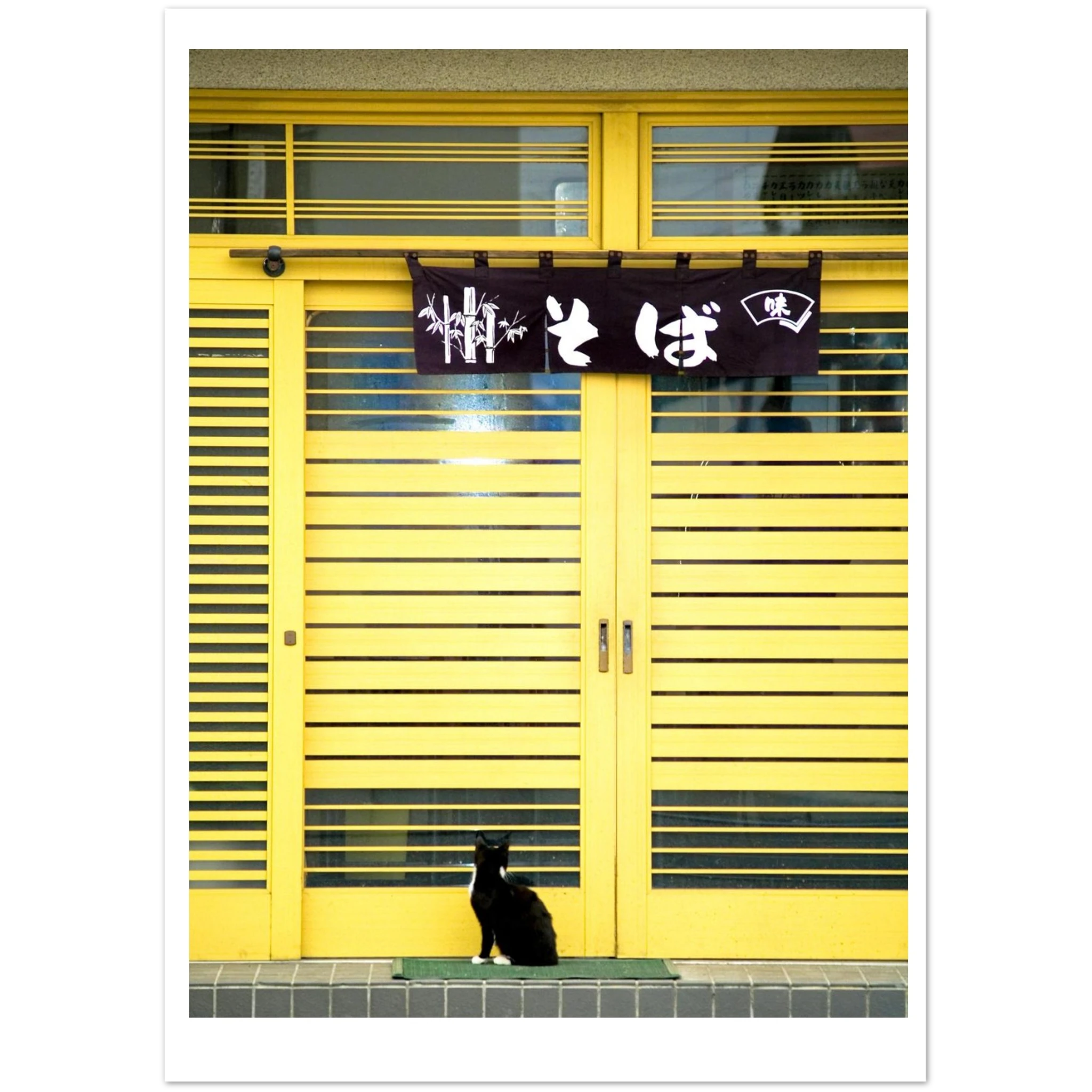 6533fe5a-cf0d-4424-879f-9f1970571c53