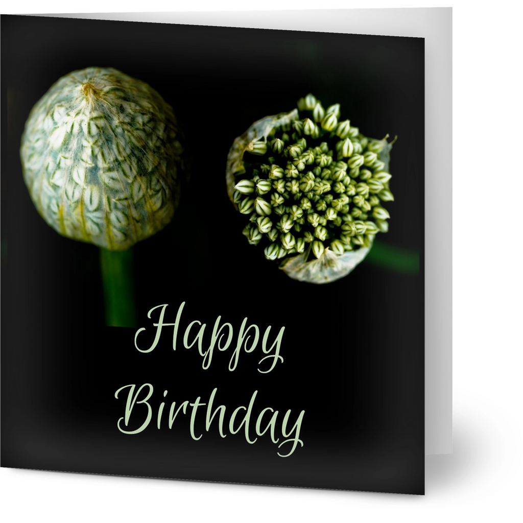 6b5977bc-d97e-41bd-93e3-ef95eea219b6