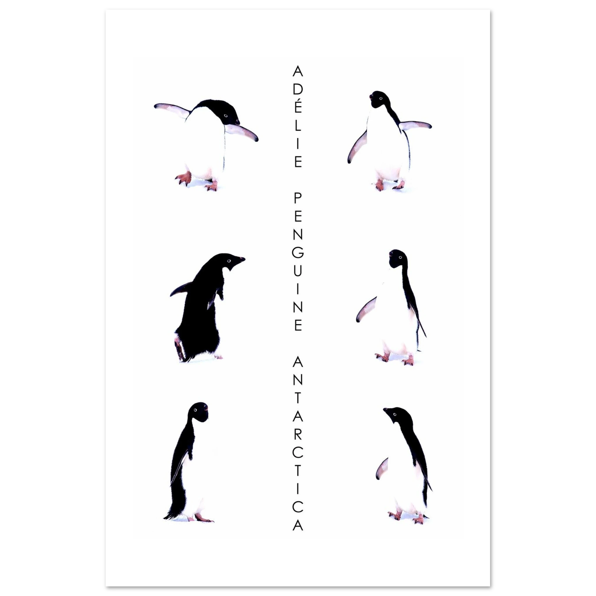 6c87f4c5-0487-426e-b375-c611134ae069