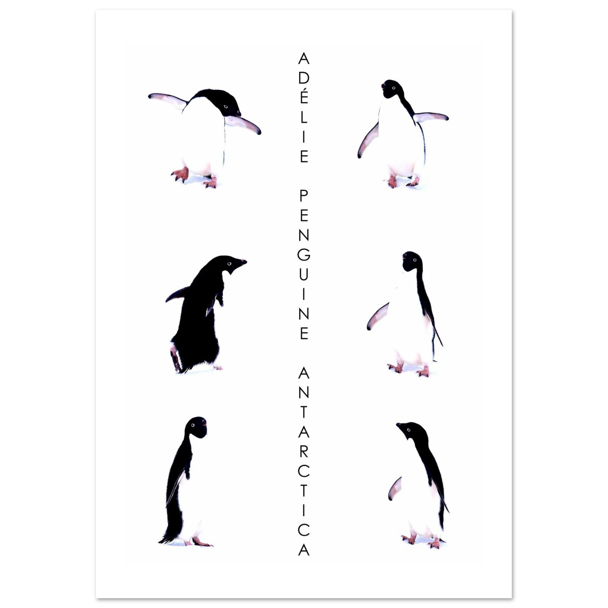 742f043b-c226-4e85-9a3a-e2e5803c57bd