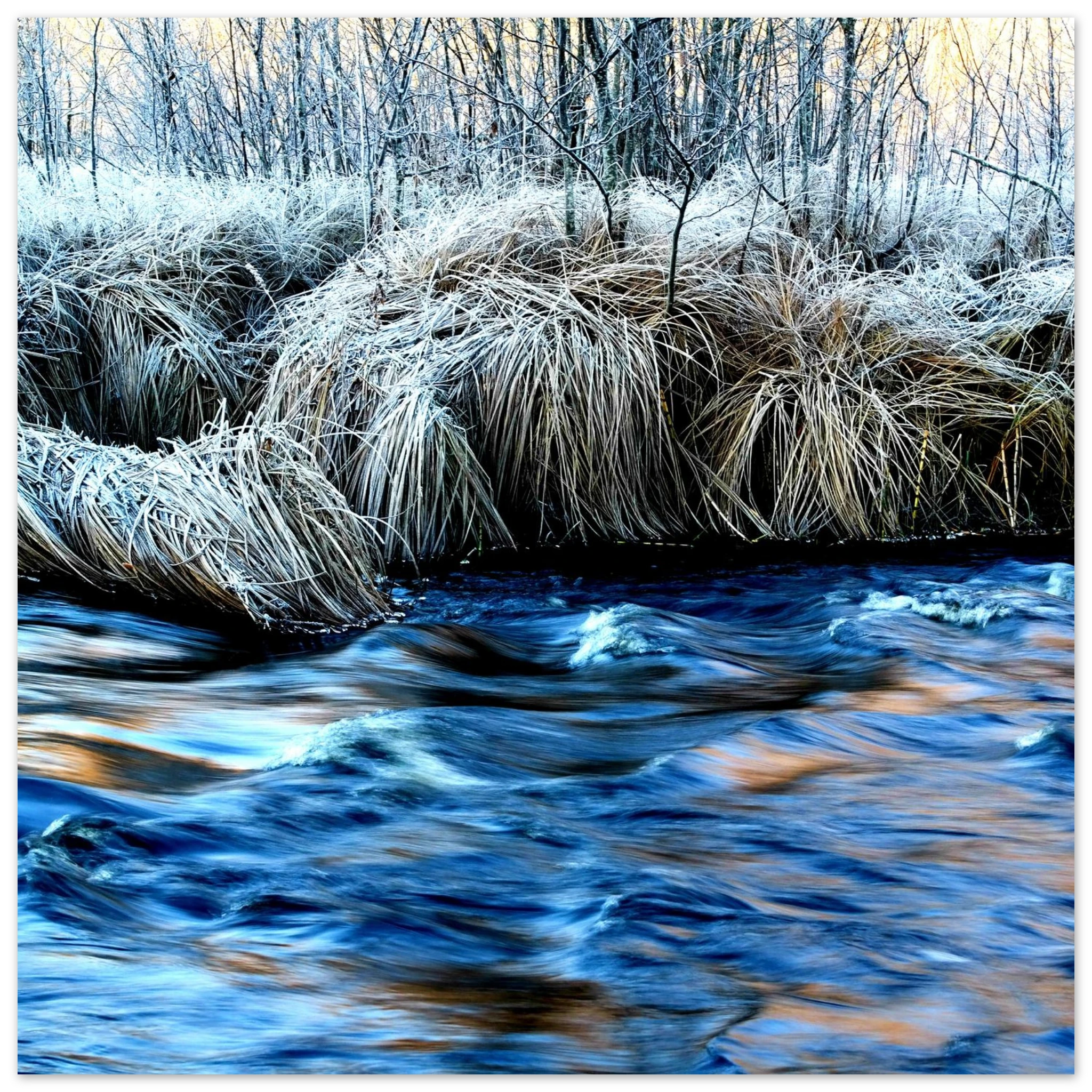 762b4ce2-f284-47ec-9fb0-0120e5e8577e