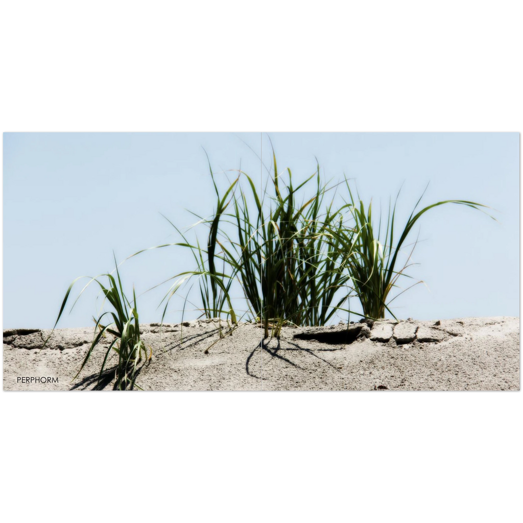 77e71bfe-c5bf-4039-bb19-b67039ee00da