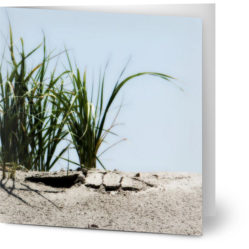 7b8969f5-76bf-414c-9a2e-c8689f015975