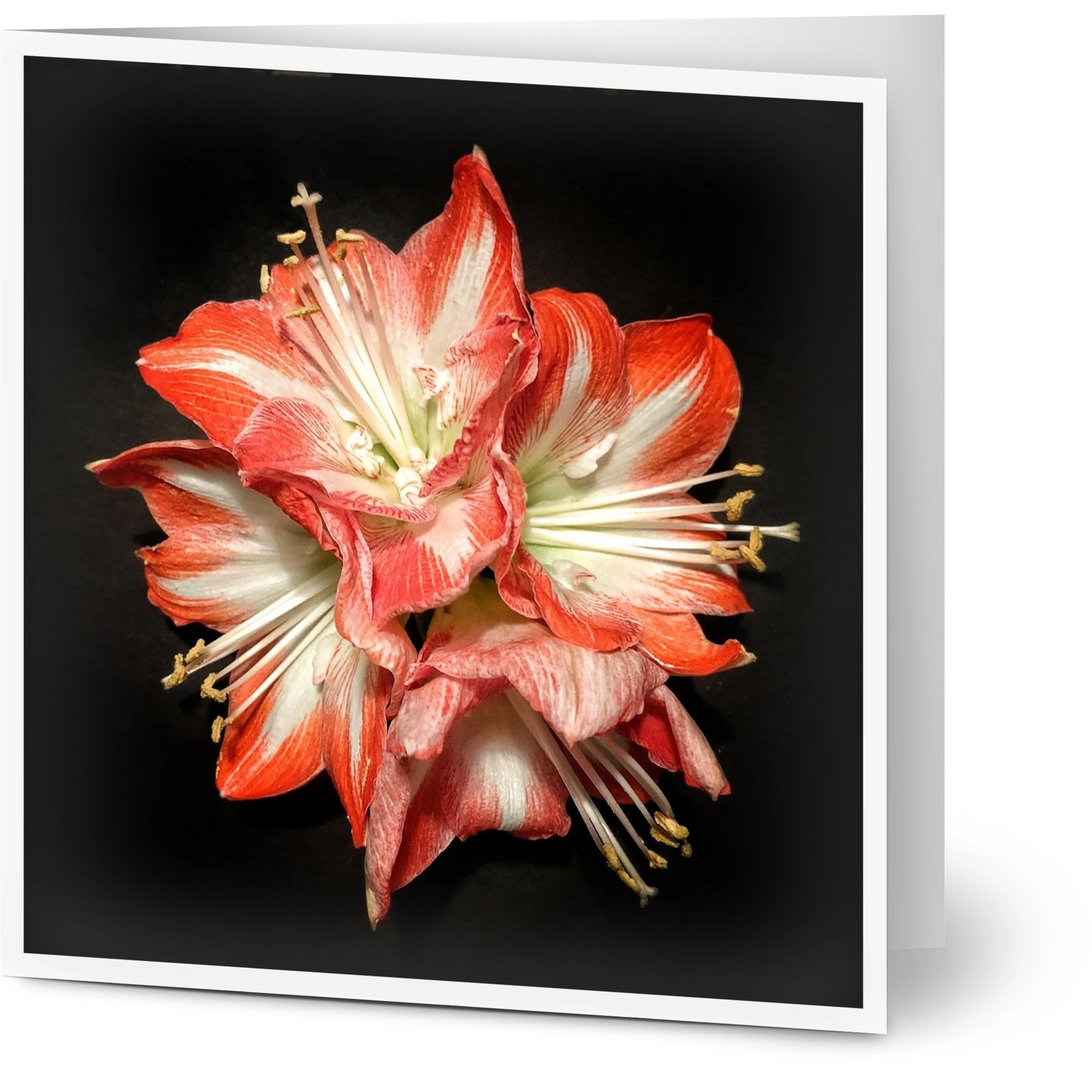 8798772e-88aa-4070-90cf-59fb7a379f31