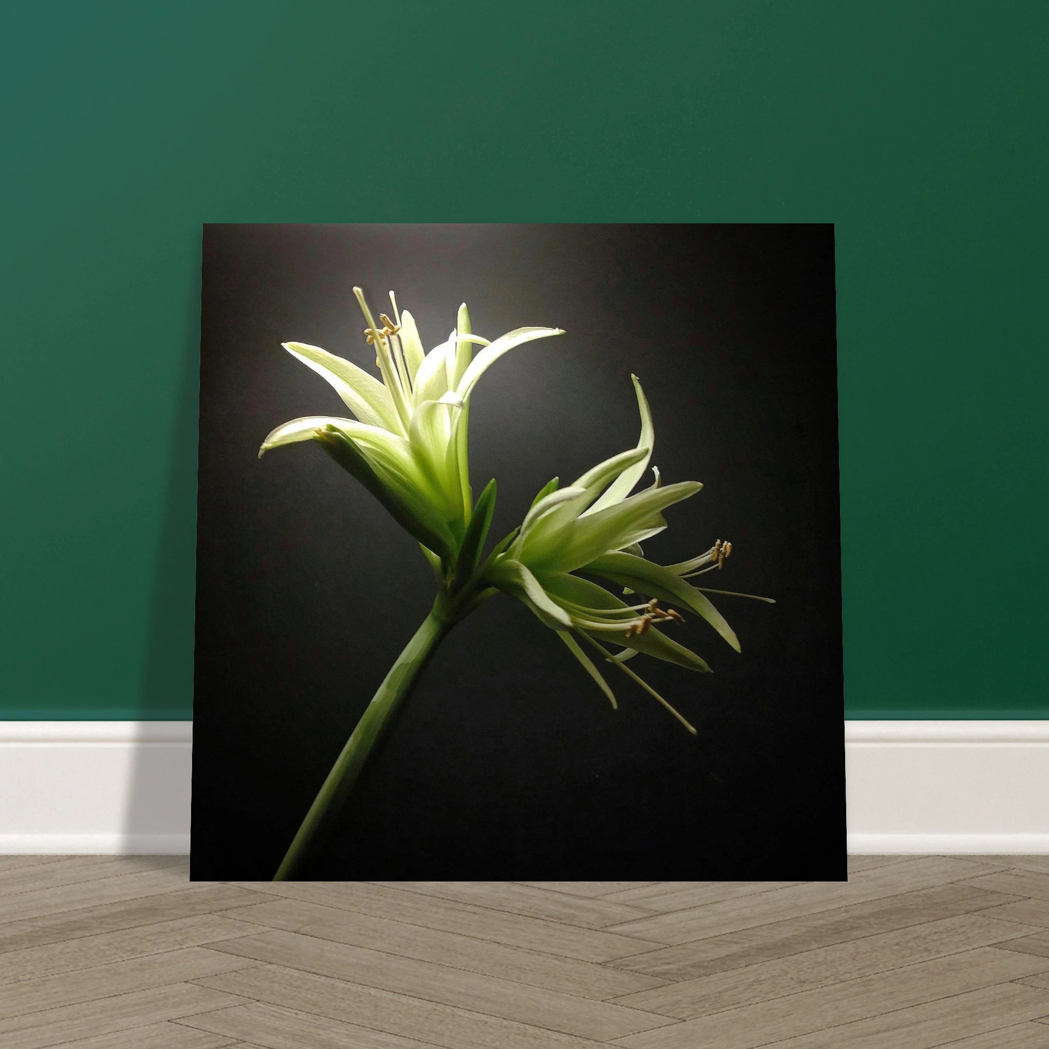 87e3cff4-95a2-42e8-b019-a8d9632d7353