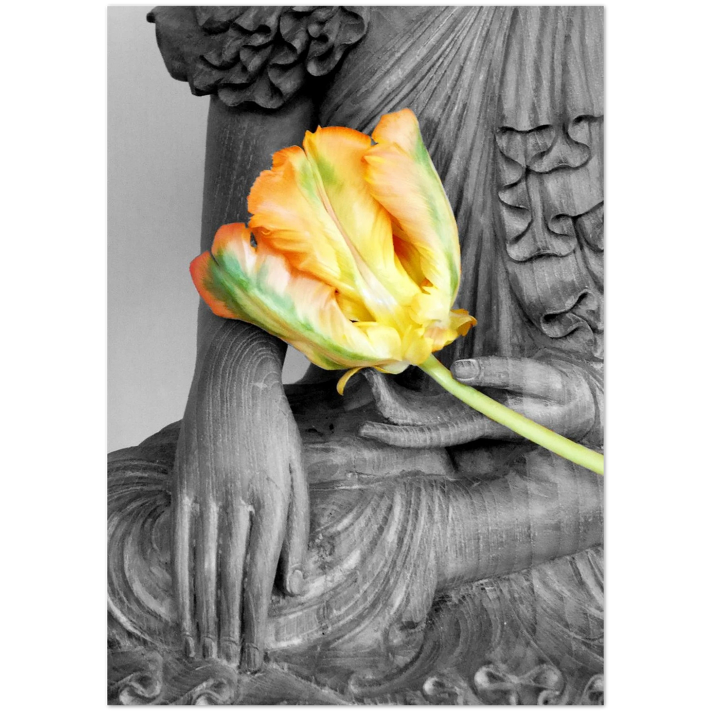 8a4ca480-422c-4ce3-9f82-32ac7db6c652