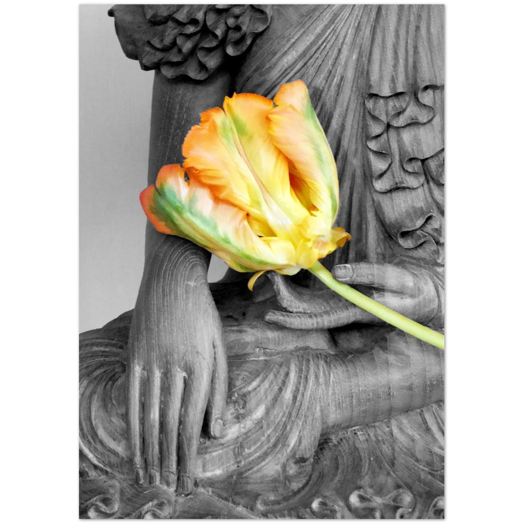 8a4ca480-422c-4ce3-9f82-32ac7db6c652