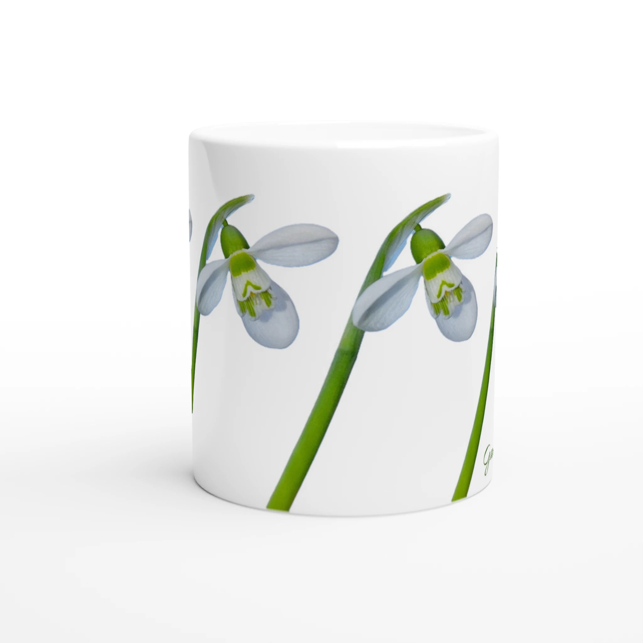 8c06c59d-0e46-4a0b-96ef-0726f01ced82