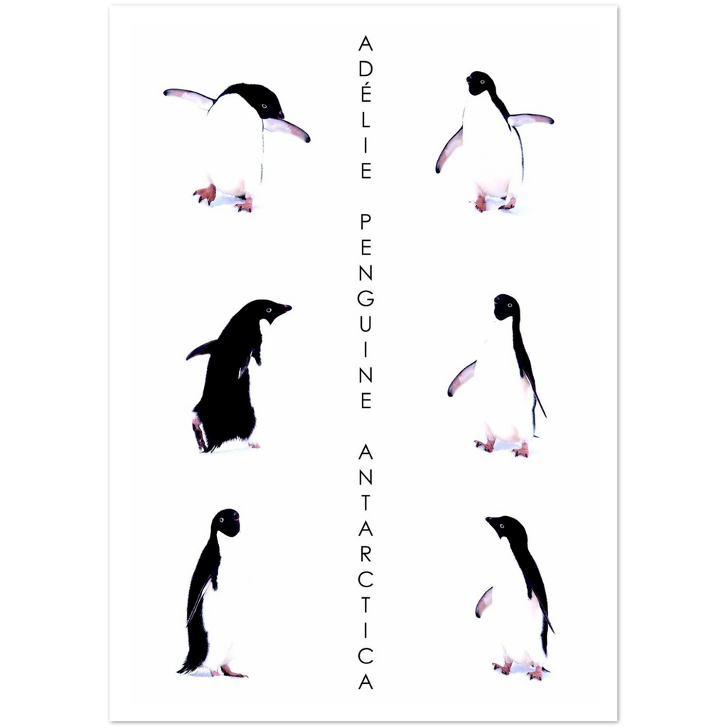 8ca5a447-14fe-4def-87fd-516330513233