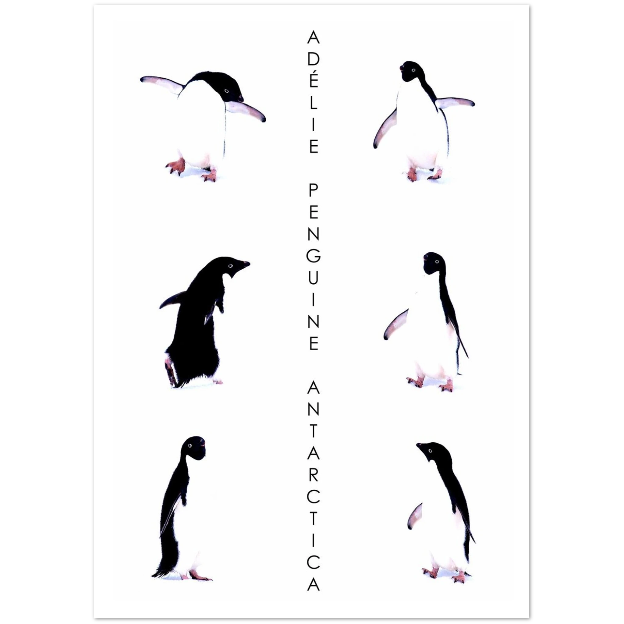 8ca5a447-14fe-4def-87fd-516330513233