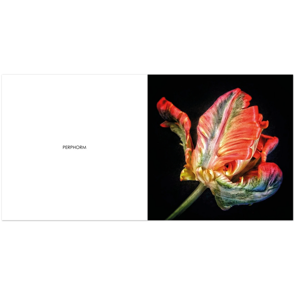 8d6e7f38-0f6b-47d9-bc1f-1e11746b933c