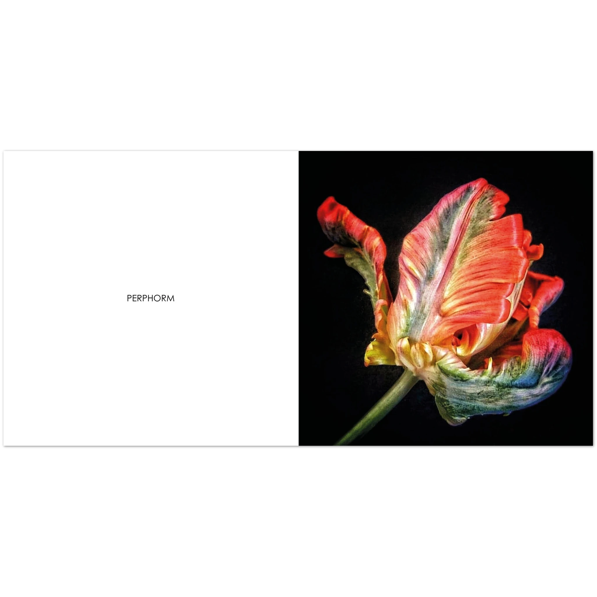 8d6e7f38-0f6b-47d9-bc1f-1e11746b933c