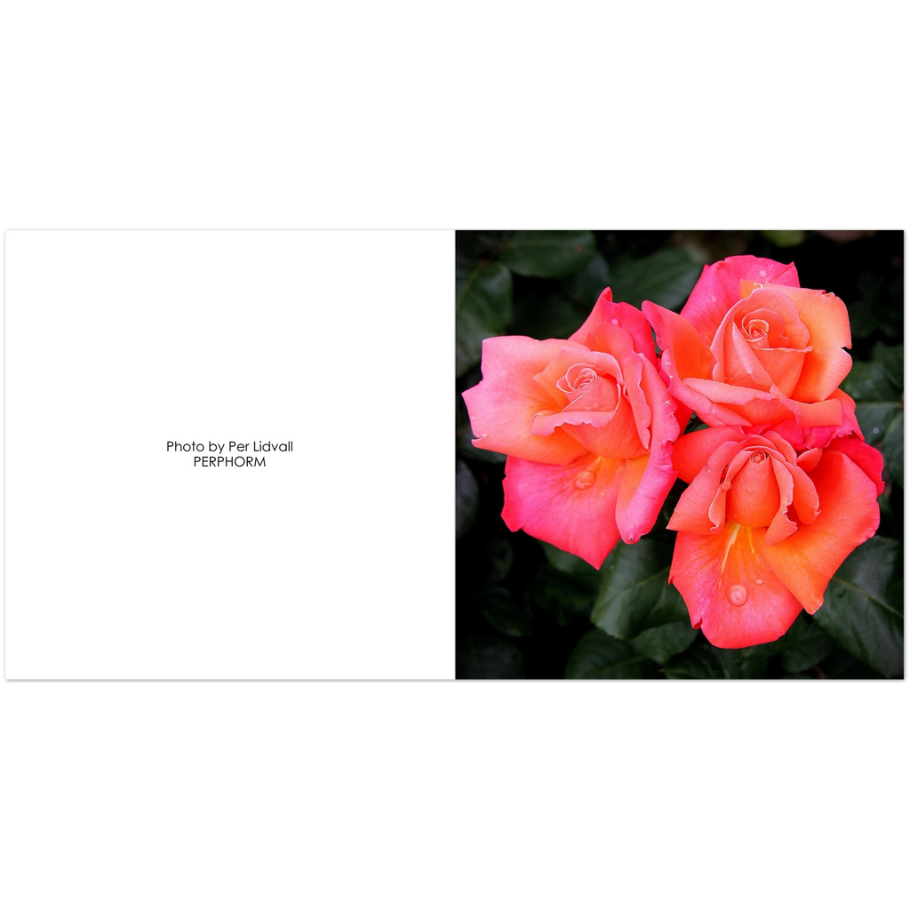 8ff174f8-be7b-4910-9986-d2f7a026f73b