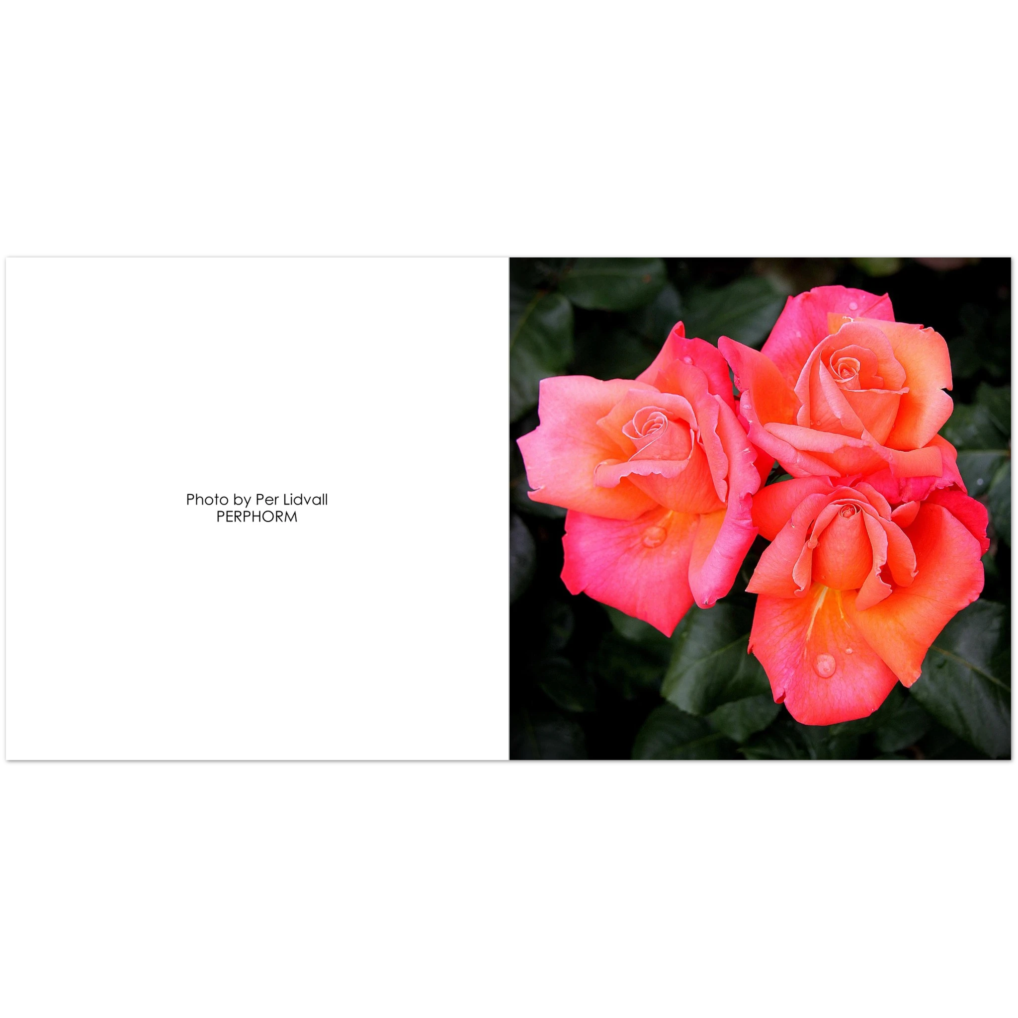 8ff174f8-be7b-4910-9986-d2f7a026f73b