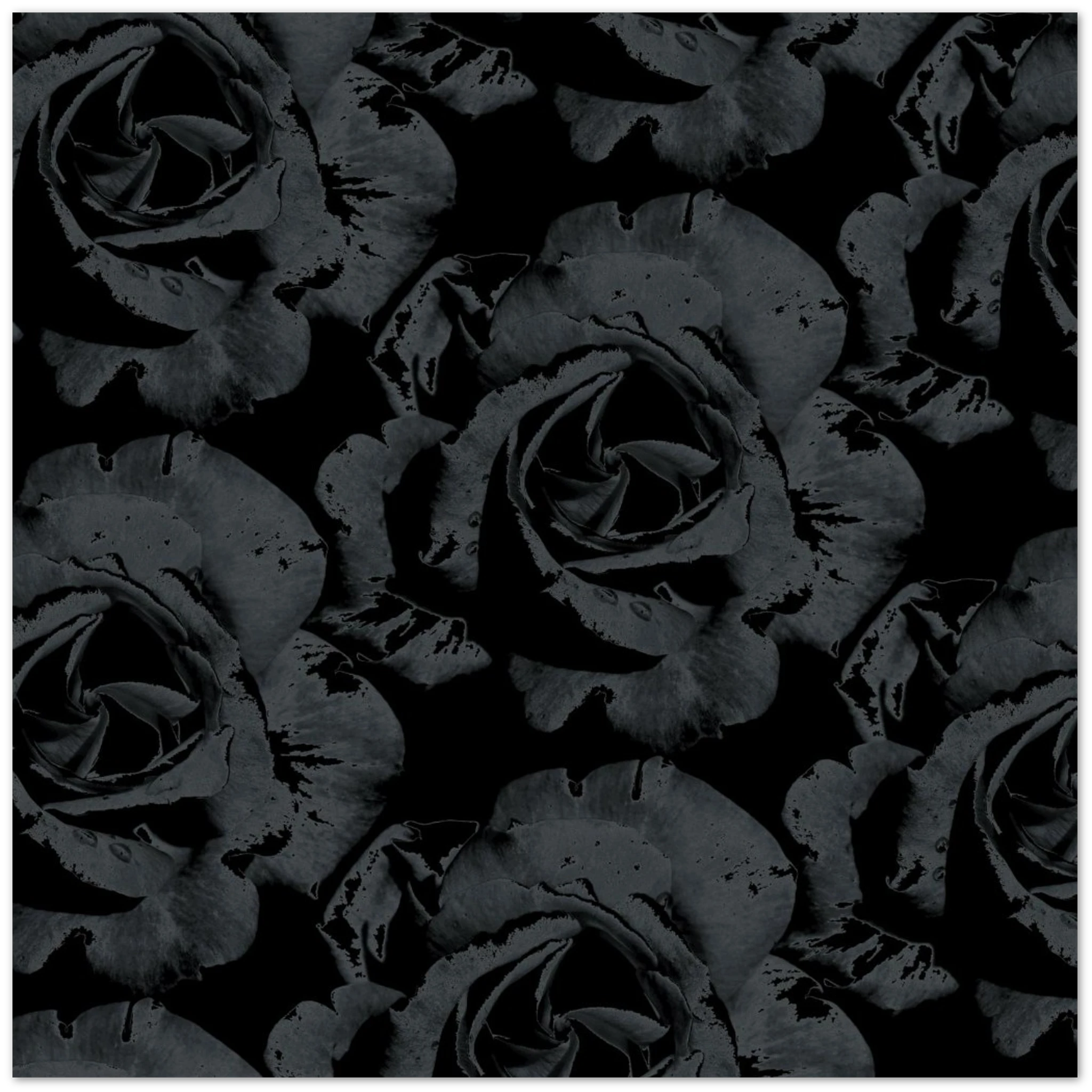 91a6fa47-5d36-4f8f-ae8e-f58461da6a5a