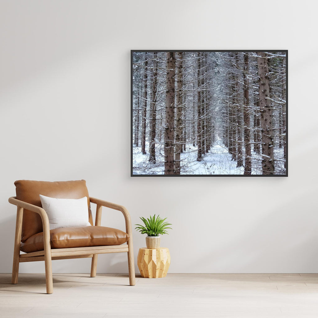 Skogsåker Vinter Forest field