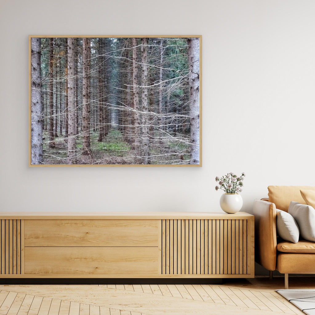 Skogsåker Forest Field