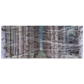 99e51744-2141-4569-8303-a21e3ed56a8b