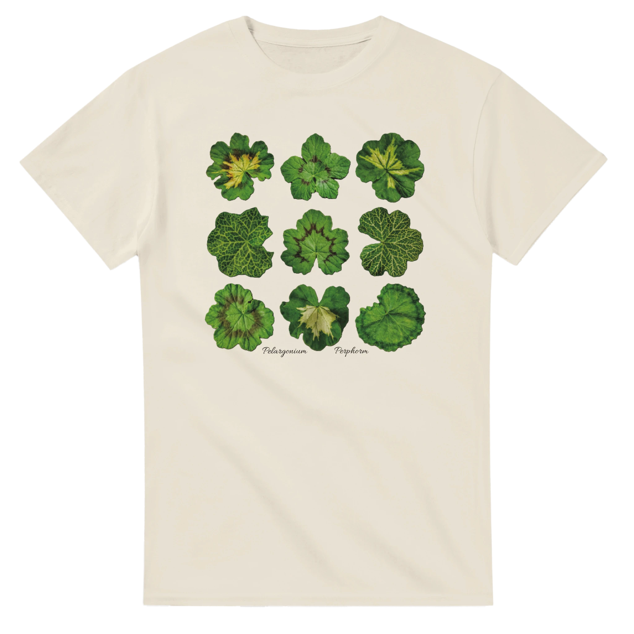 9bdf9df7-45db-40fc-addf-dfa1059467fe