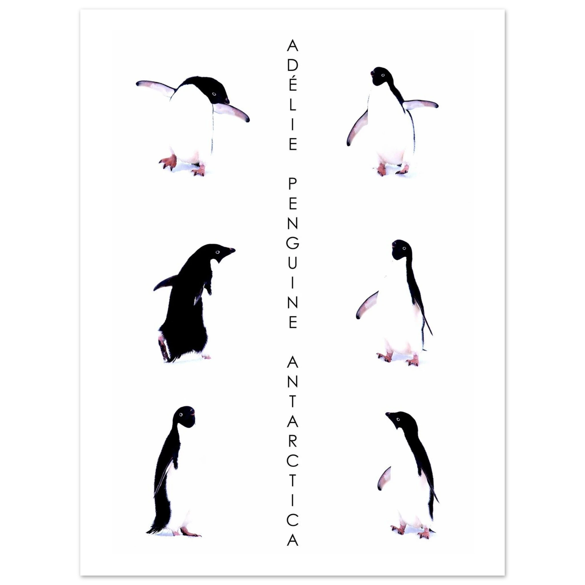 9ffa7870-7fab-4d21-b666-7ba36c85b8b8