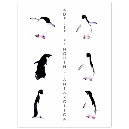 9ffa7870-7fab-4d21-b666-7ba36c85b8b8