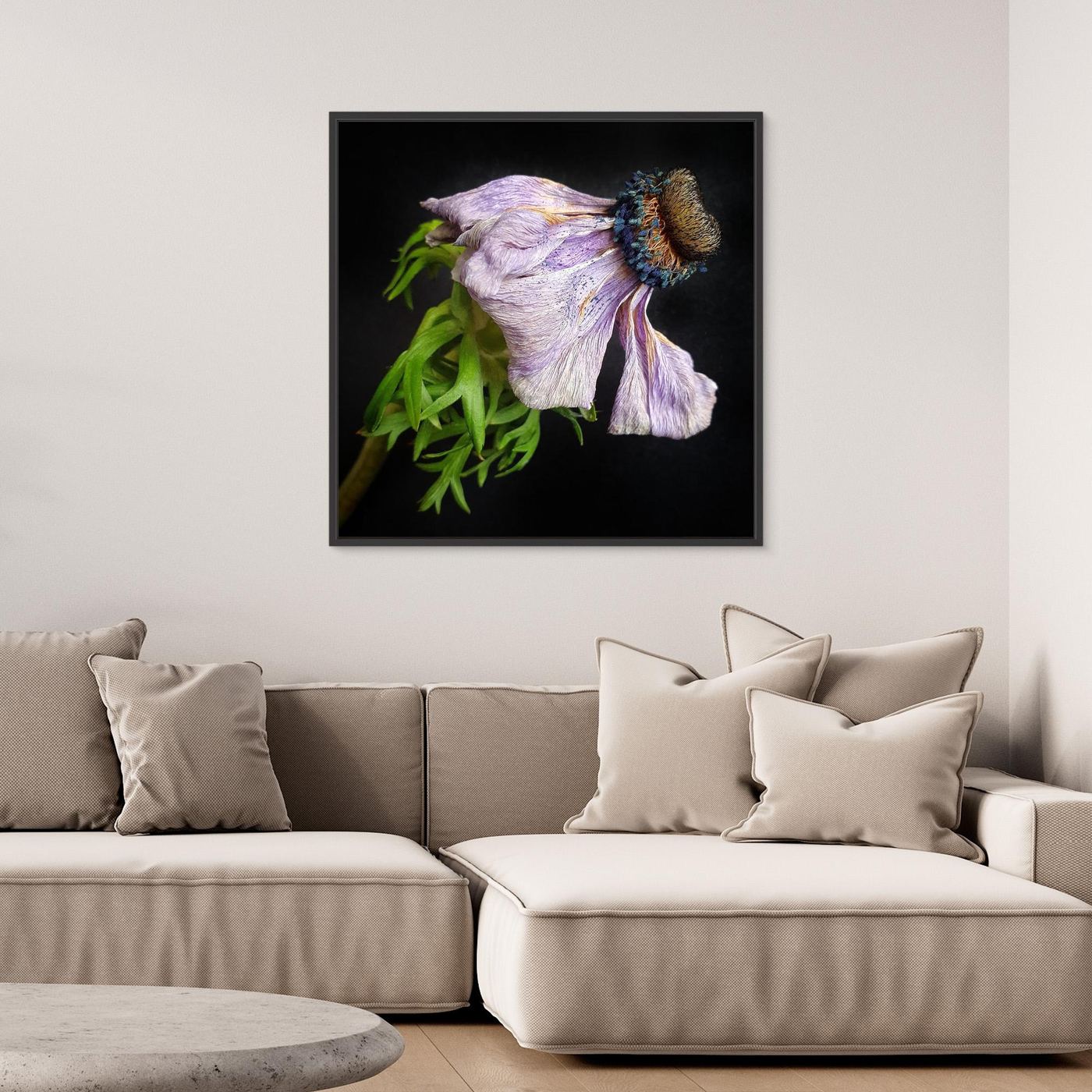 Bedagad Anemone Faded