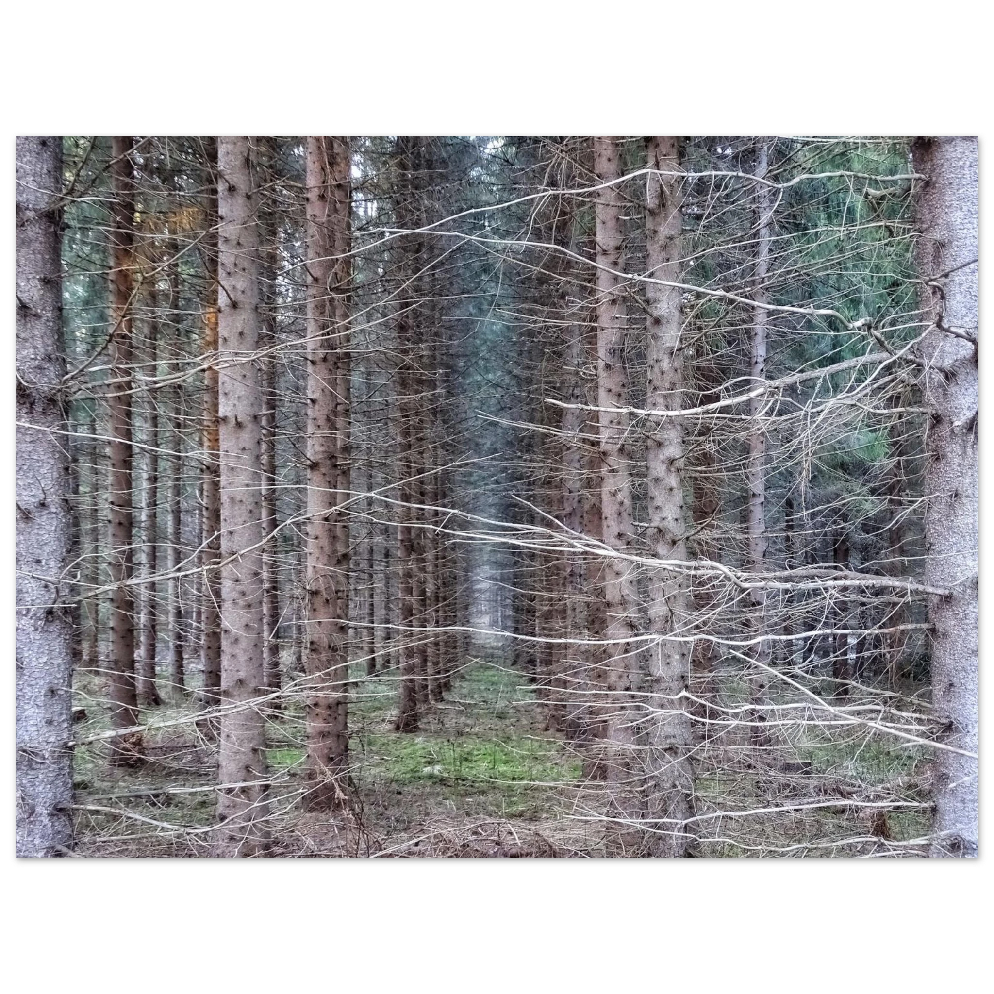 a1233f93-b0e5-4d6c-b91a-80bda30b3cff