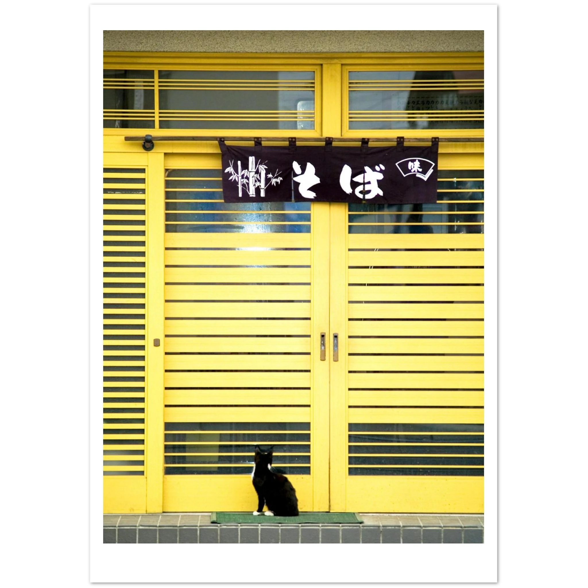 a808f6d4-a1d5-4b65-8f1a-4d73b0d9f125