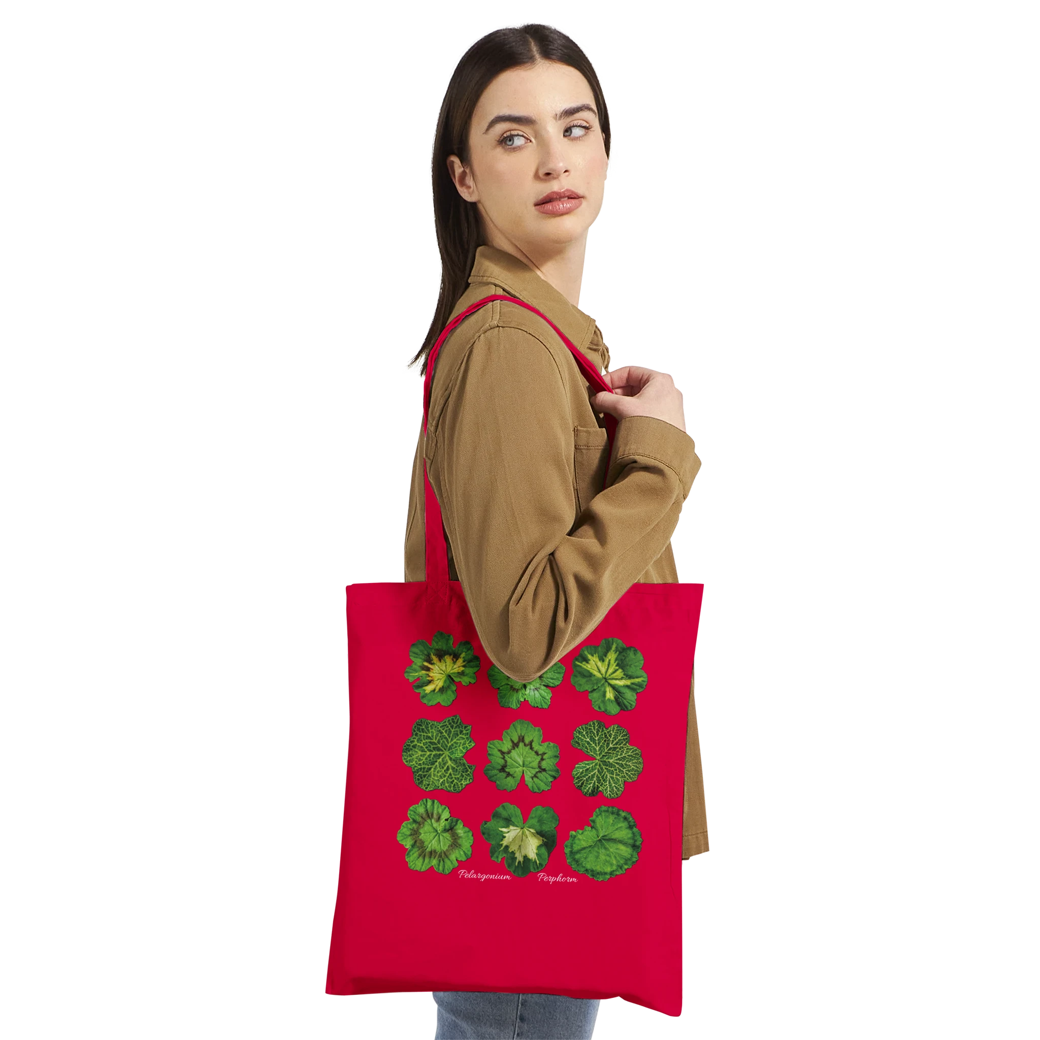 aab254e1-2e48-4ce5-9d74-1d156f2bbf85