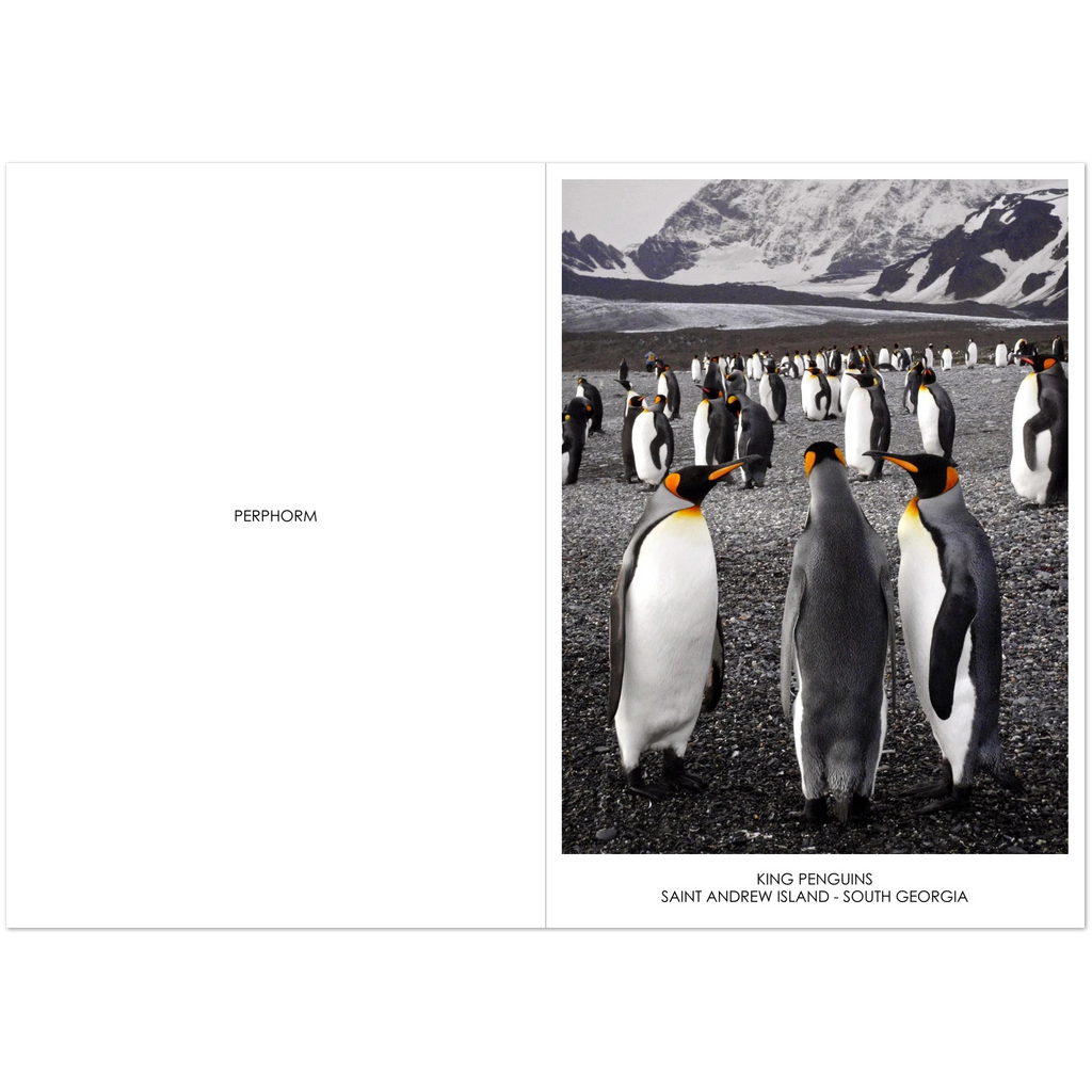 af34ee7a-c462-4705-8de6-927754b0cfb2