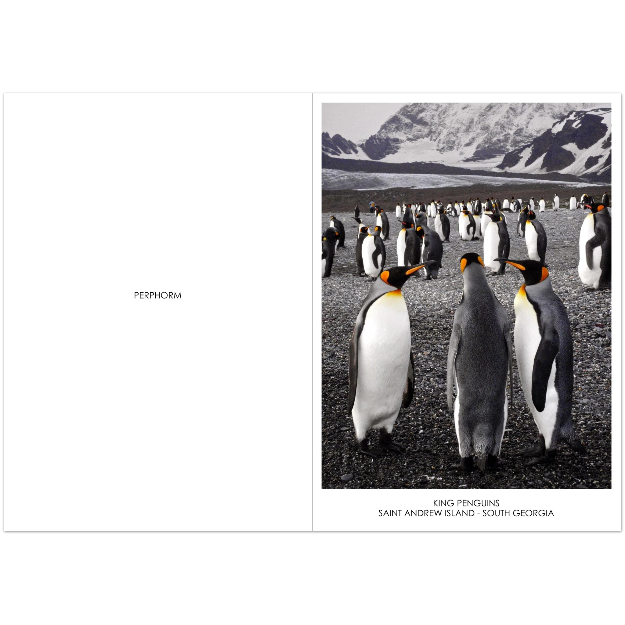 af34ee7a-c462-4705-8de6-927754b0cfb2