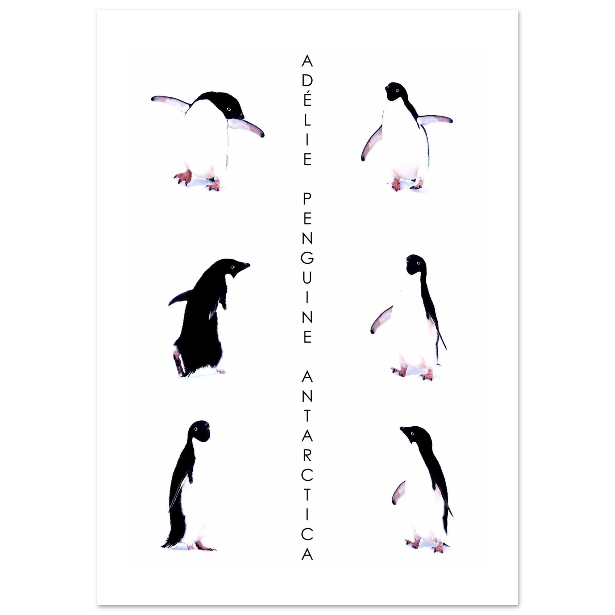 b12560b0-1310-40da-8d3e-ee4d06546df5