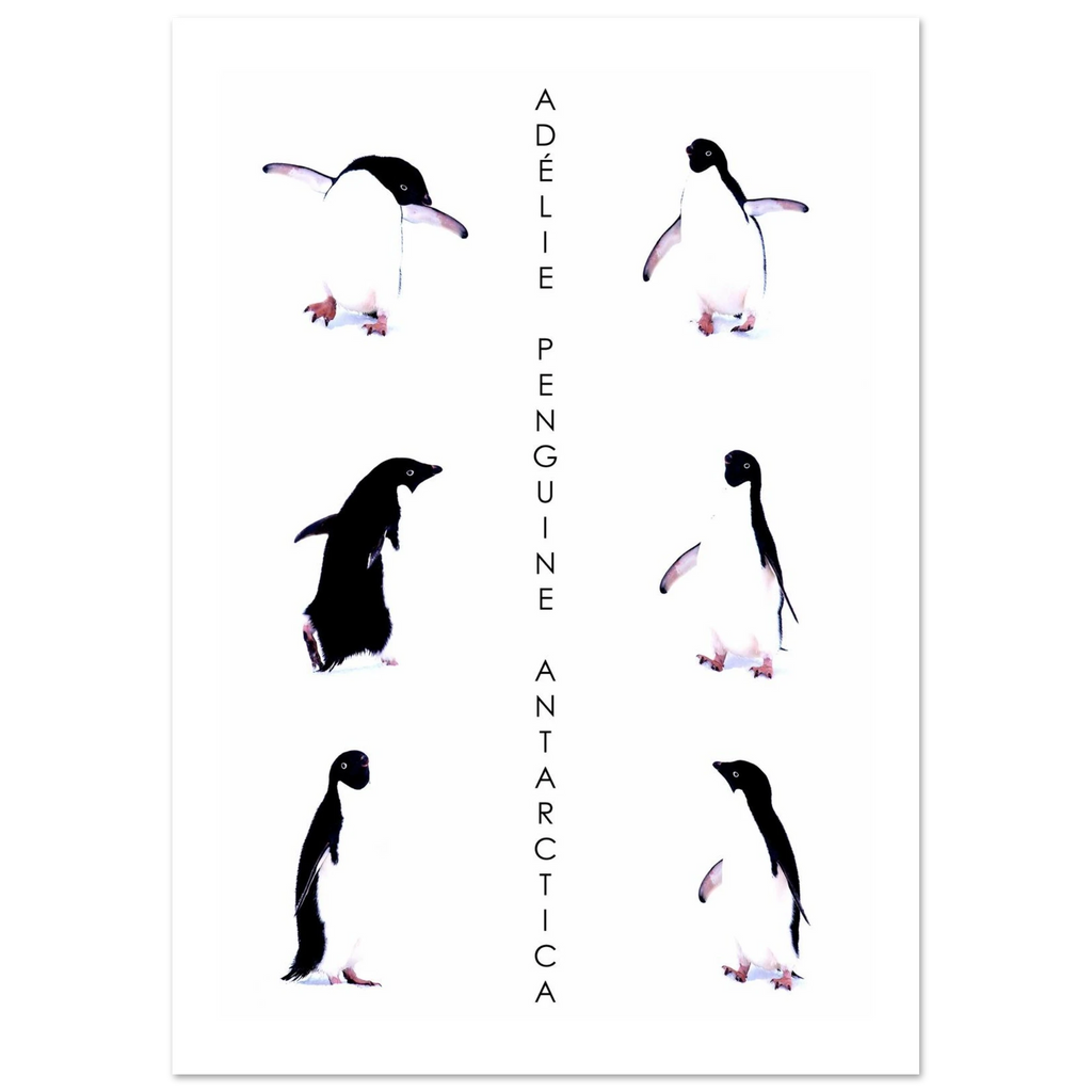 b4d7668c-e179-4237-8a15-d8df99eea4ba