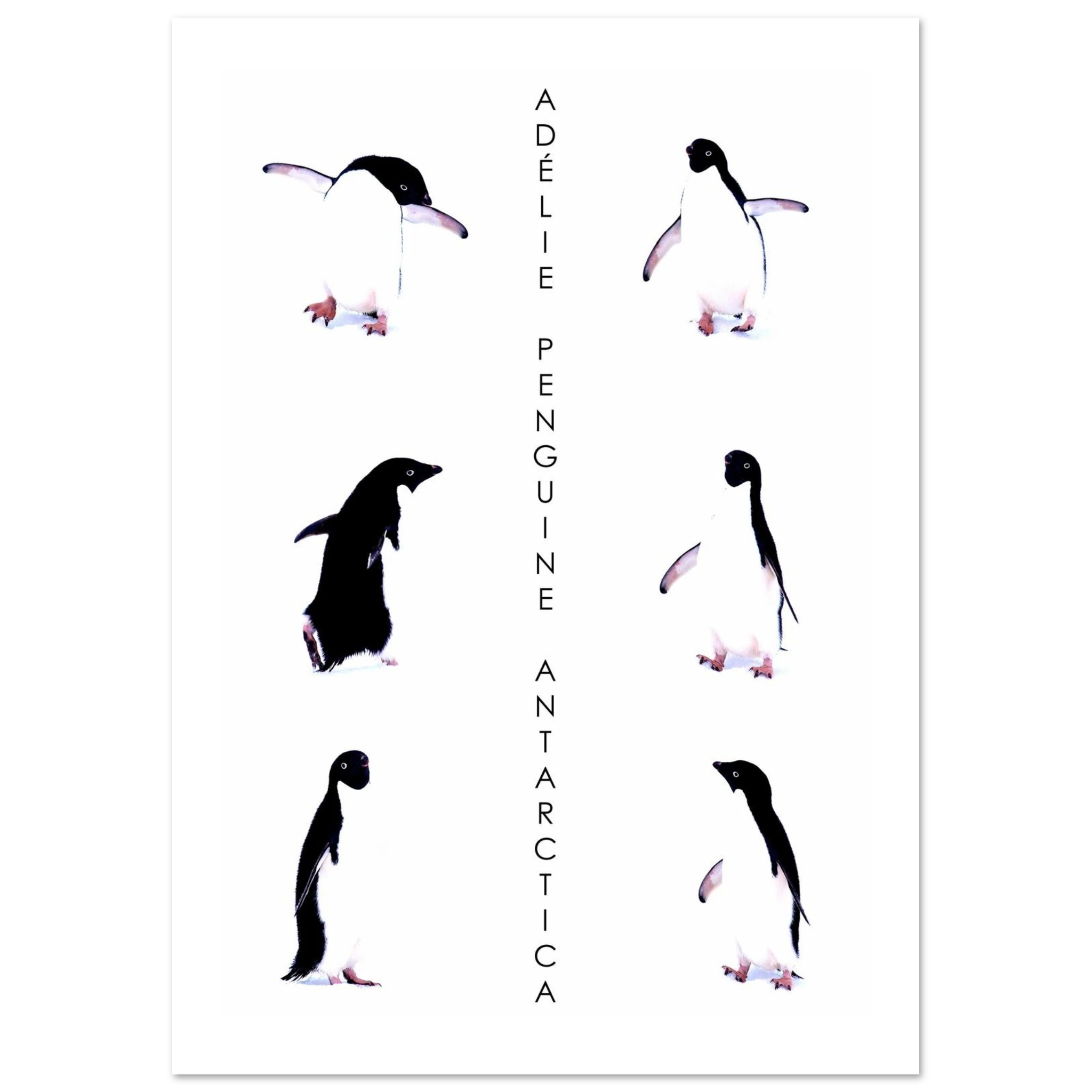 b4d7668c-e179-4237-8a15-d8df99eea4ba