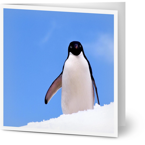 b502b828-ffa3-41da-ab21-b994a72e715d