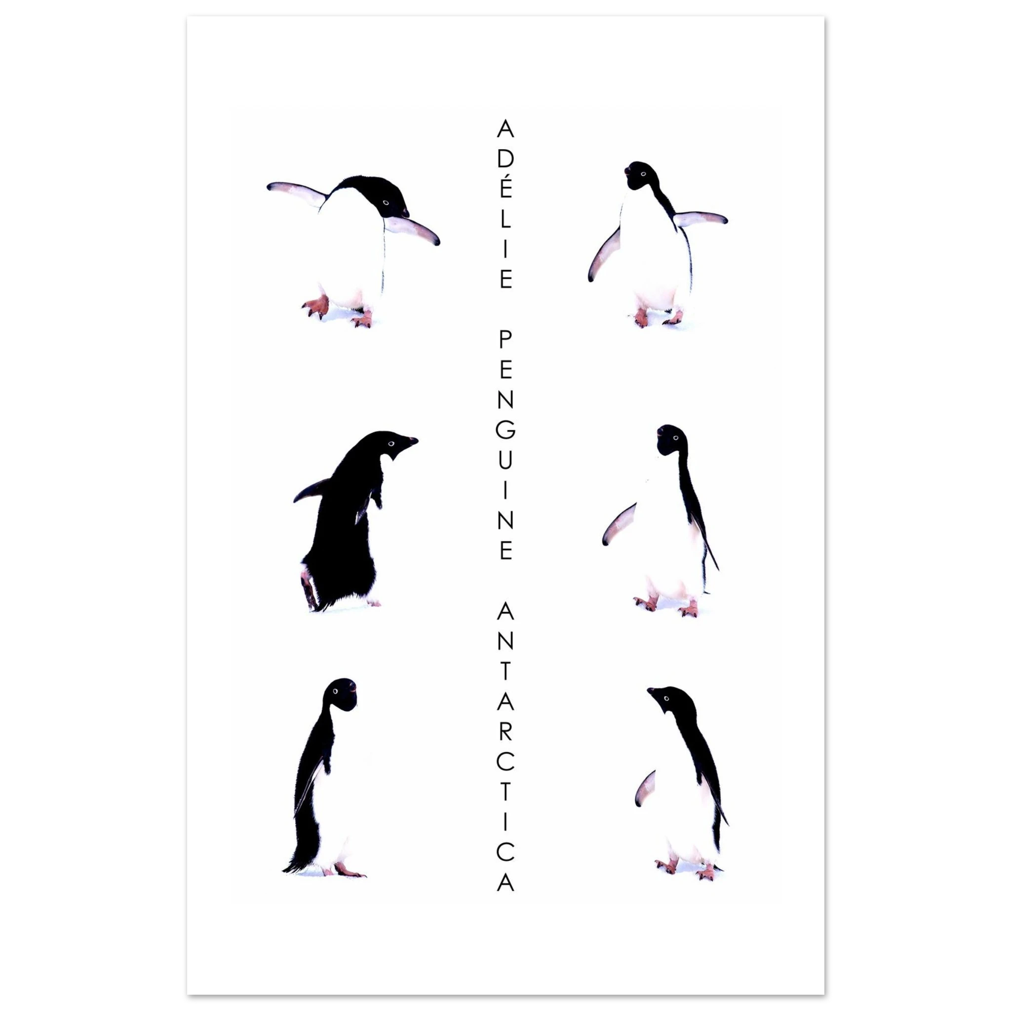 bdf006da-b376-4714-844c-633c46d1539e