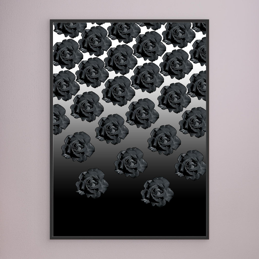 Ros Varas Chile Rose 04