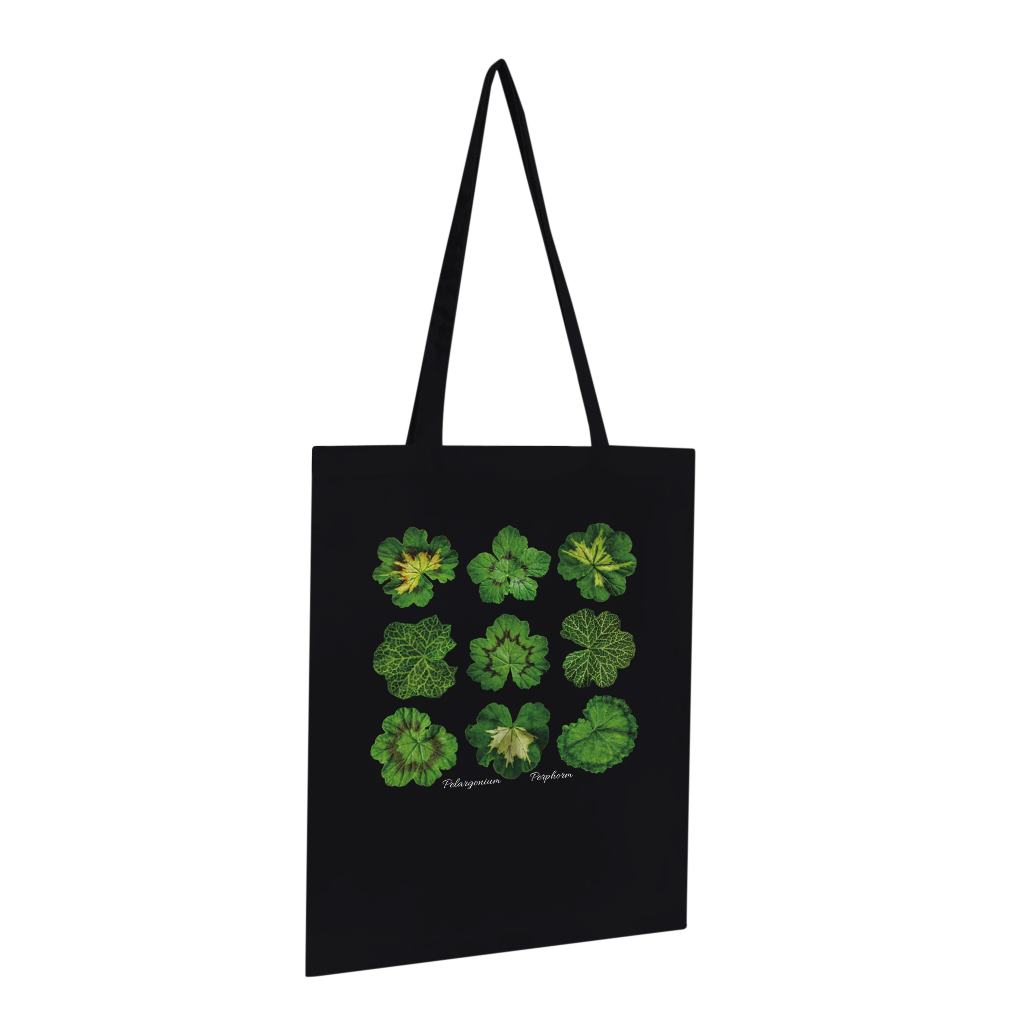 c76de62c-25b8-4060-b938-9c66be80ab07