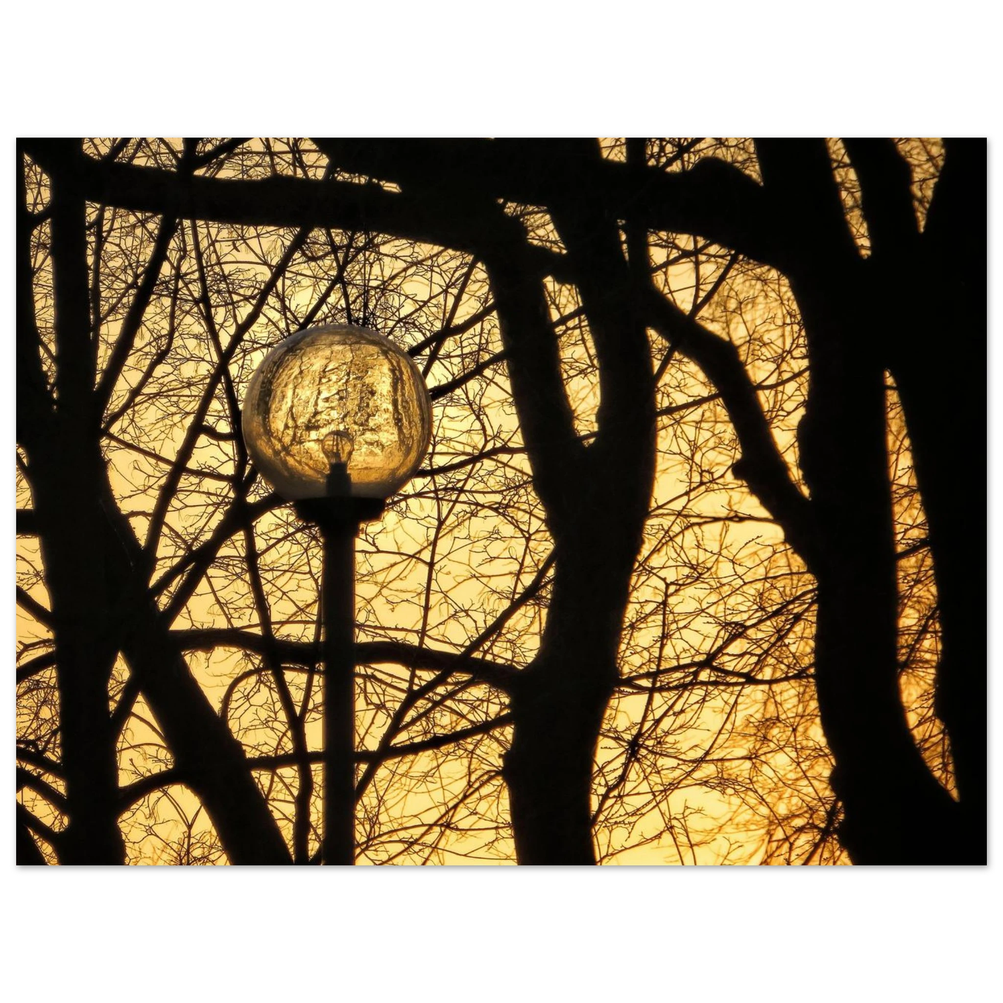 c8624299-40a9-42fa-9849-03428471c09f