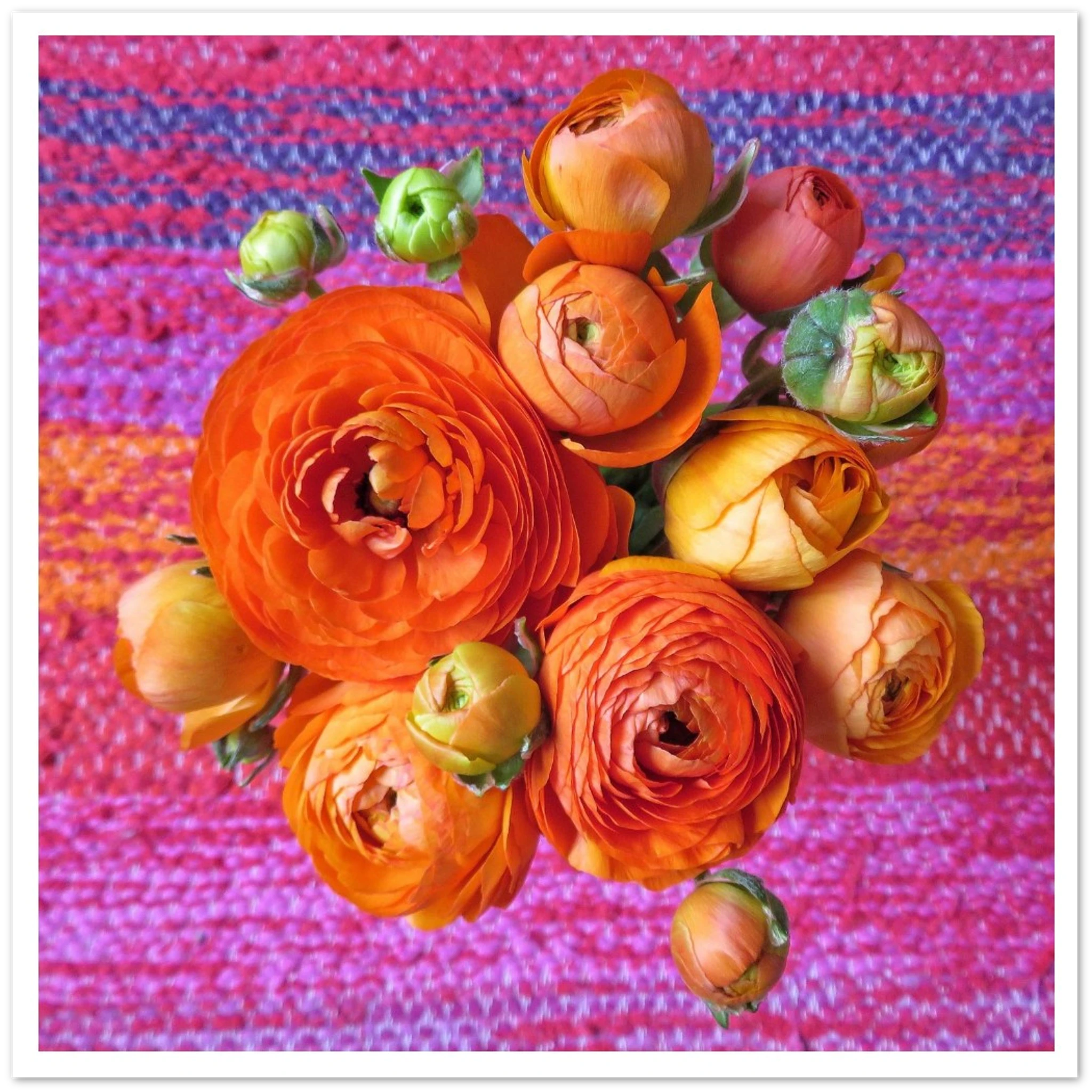 c8b659ca-c96d-4814-9374-a4bdd8aa12b6