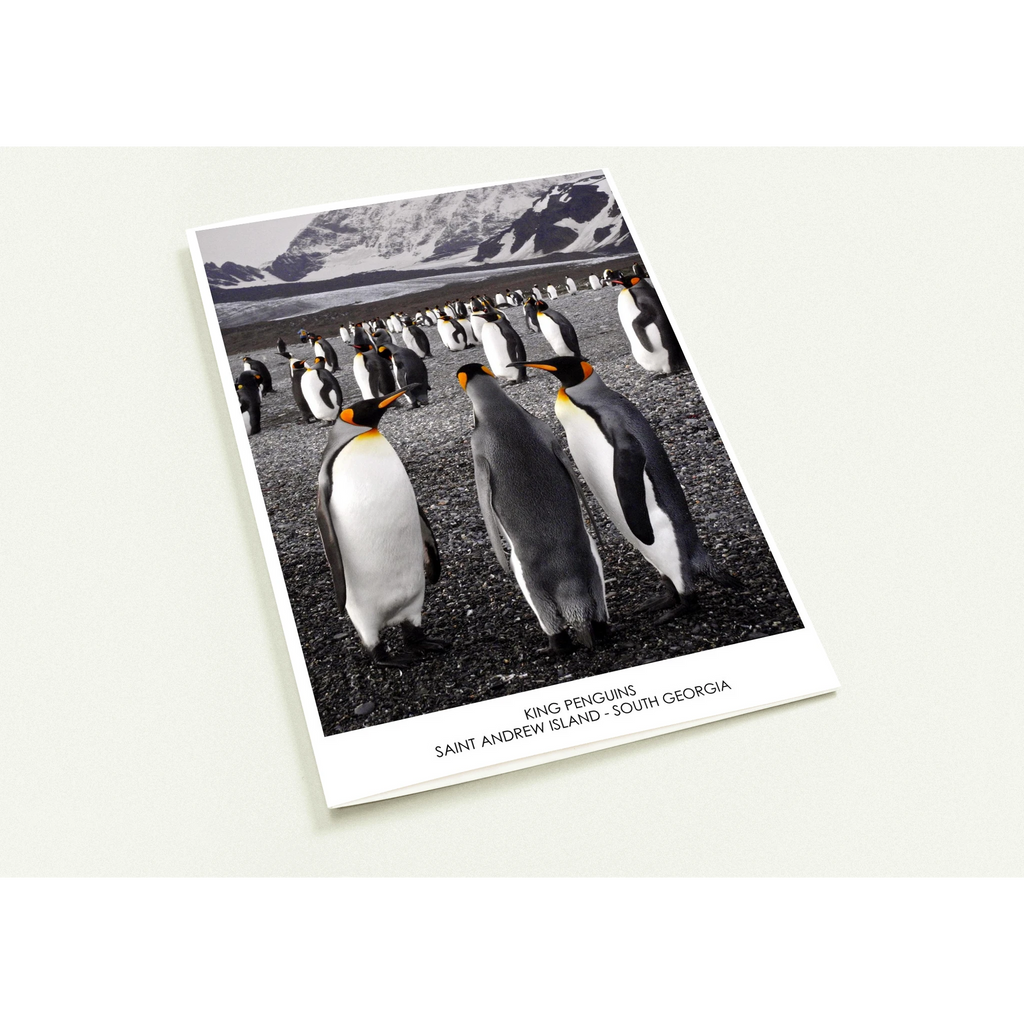 c913aed9-3d73-426e-b5fa-be0647f812ee