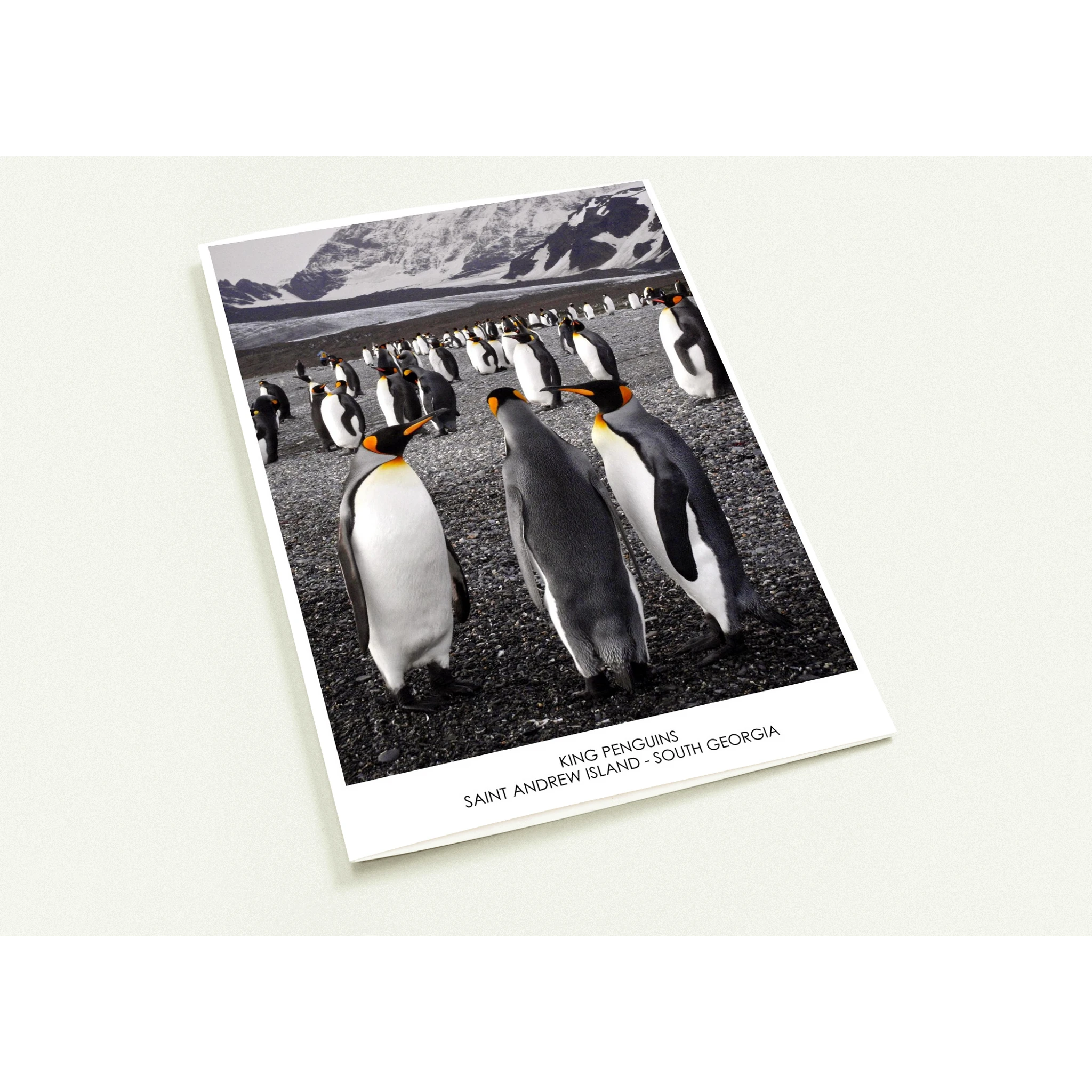 c913aed9-3d73-426e-b5fa-be0647f812ee