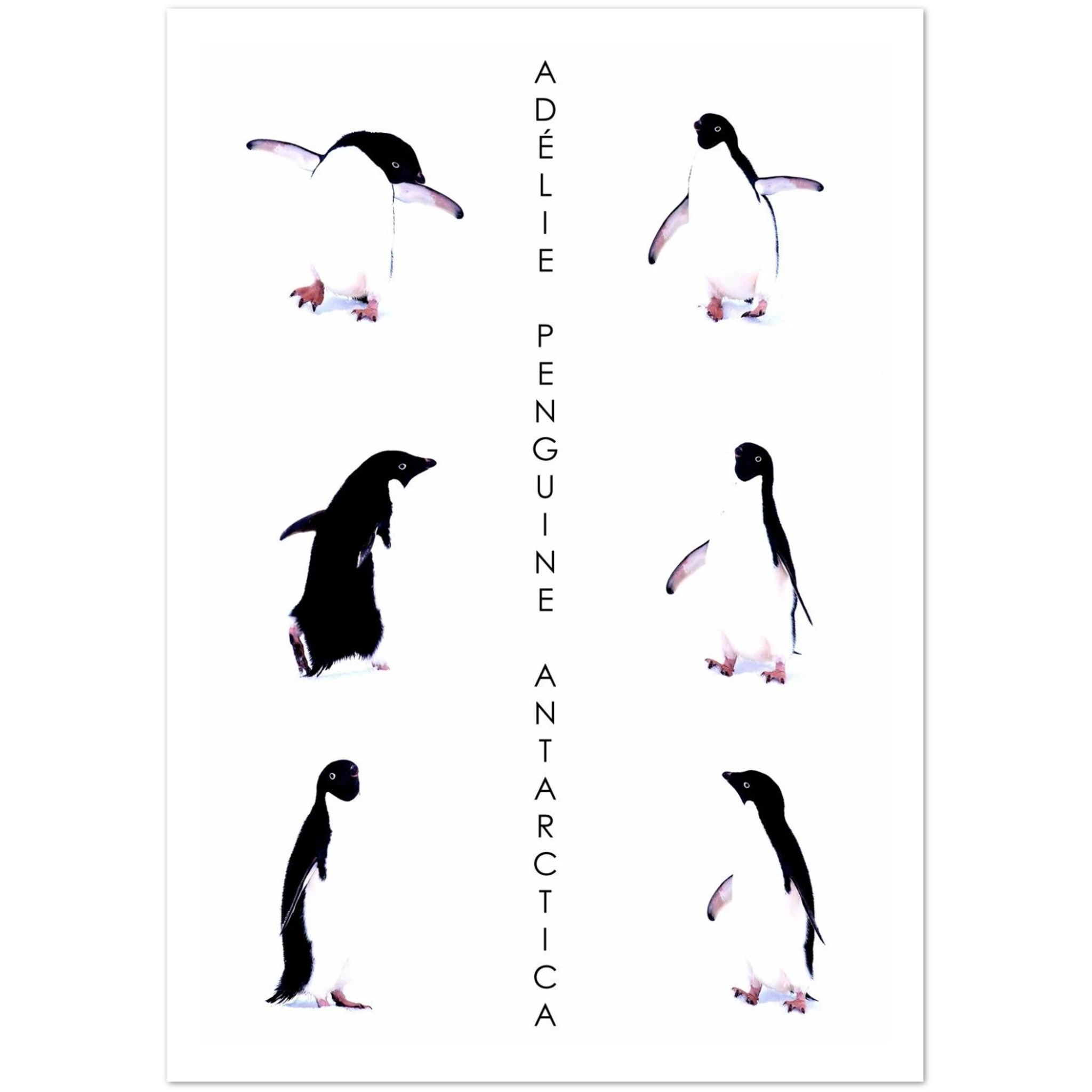 cd15cc2f-bf61-4ed3-9aef-bb137fed2aa2