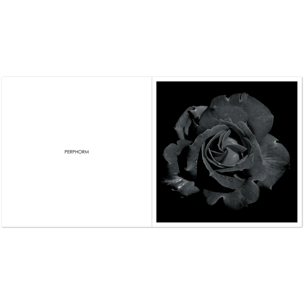 cdae8dba-f02c-4e4d-8376-29f8dca7cb7c