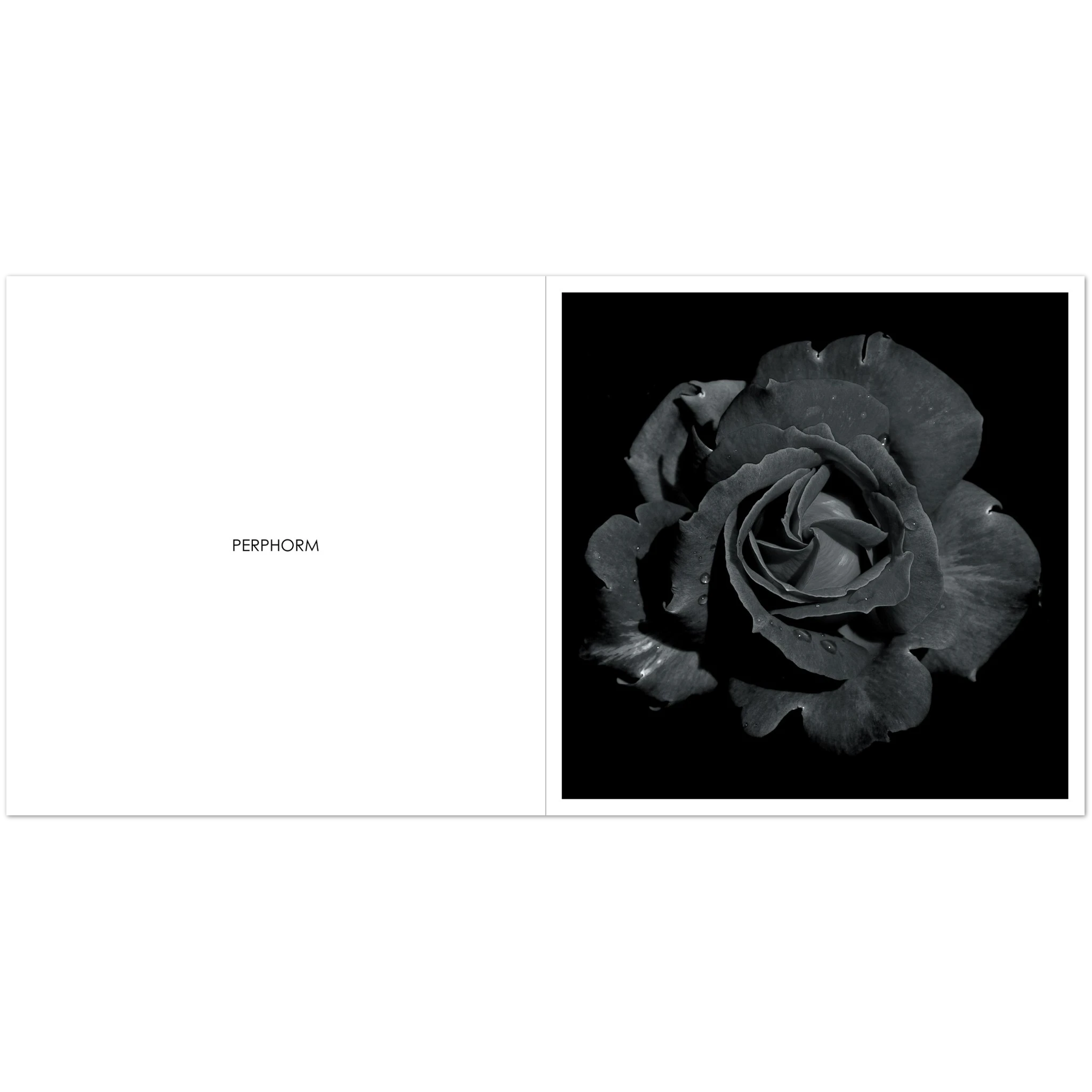 cdae8dba-f02c-4e4d-8376-29f8dca7cb7c